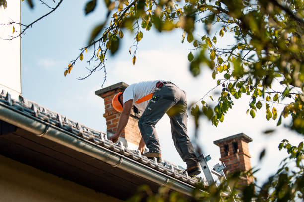 Best Flat Roof Repair Services  in Comstock Northwest, MI