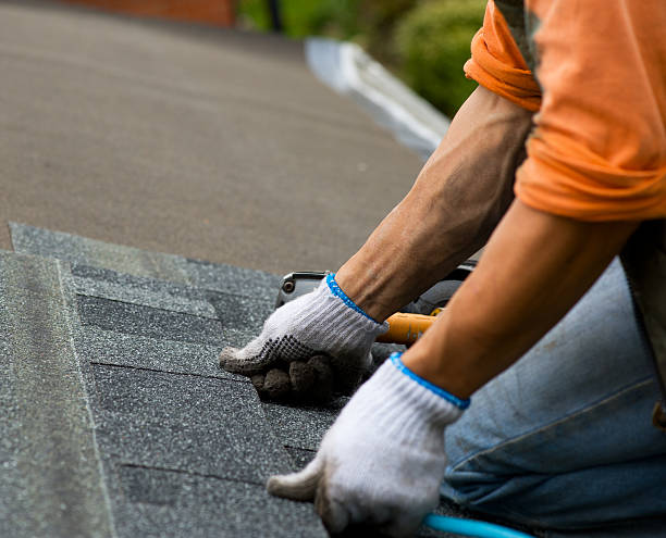 Best Roof Restoration Services  in Comstock Northwest, MI
